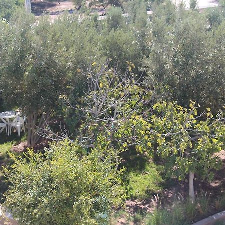 Les Jardins Fleuris Bed and Breakfast Essaouira Eksteriør billede