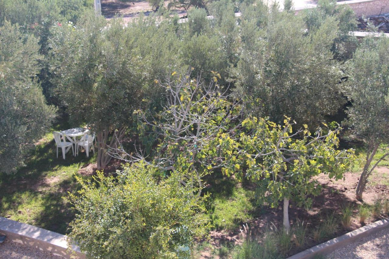 Les Jardins Fleuris Bed and Breakfast Essaouira Eksteriør billede
